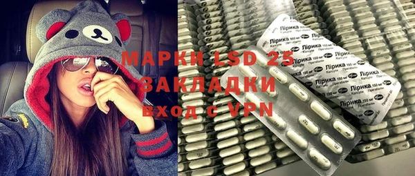 spice Богородицк