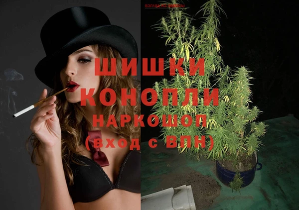 гидра Балахна