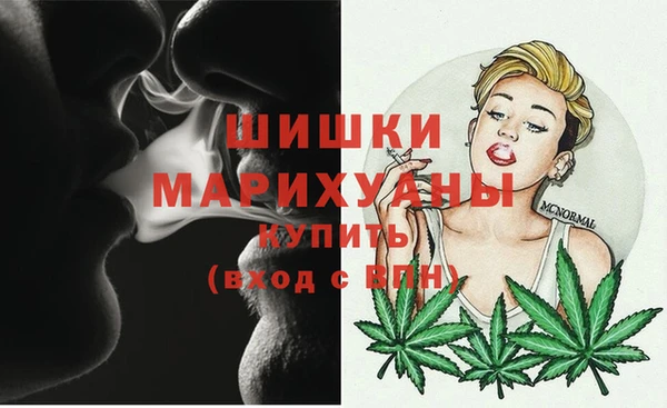 ГАЛЛЮЦИНОГЕННЫЕ ГРИБЫ Белокуриха