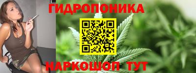 шишки Ликино-Дулёво
