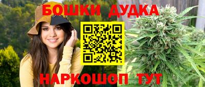 СК Лесосибирск