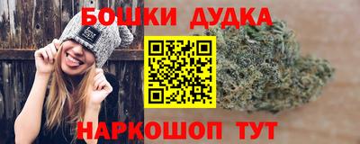 СК Лесосибирск