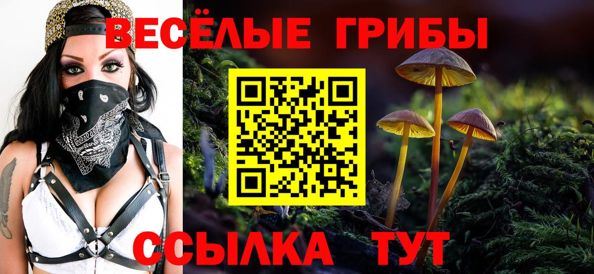 Галлюциногенные грибы Psilocybe  Вход с VPN  Калуга 